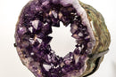 Amethyst Geode Portal with AAA Crown Druzy Formation - E2D Crystals & Minerals