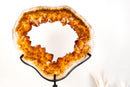 Golden - Orange Citrine Geode Portal with Rare Crown Druzy Formation - E2D Crystals & Minerals