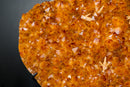 Cluster with Sparkly Golden - Orange Druzy and Calcite on Stand - E2D Crystals & Minerals