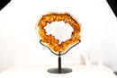 Golden - Orange Citrine Geode Portal with Rare Crown Druzy Formation - E2D Crystals & Minerals