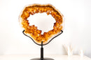 Golden - Orange Citrine Geode Portal with Rare Crown Druzy Formation - E2D Crystals & Minerals