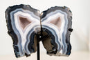 Natural Blue Lace Agate Geode Wings with White Galaxy Druzy - E2D Crystals & Minerals