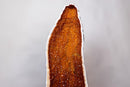 Tall AAA Citrine Cathedral Geode with Golden - Orange Sparkly Druzy – 3.85 ft - E2D Crystals & Minerals