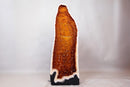 Tall Citrine Cathedral Geode – Golden - Orange Sparkly Druzy, 3.85 ft - E2D Crystals & Minerals