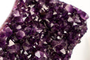 Natural Amethyst Geode Cluster with Rich Purple, Grape - Jelly Druzy - E2D Crystals & Minerals