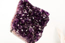 Natural Amethyst Geode Cluster with Rich Purple, Grape - Jelly Druzy - E2D Crystals & Minerals