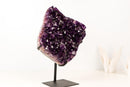 Natural Amethyst Geode Cluster with Rich Purple, Grape - Jelly Druzy - E2D Crystals & Minerals