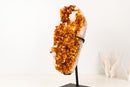 Natural Citrine Crystal Cluster with Calcite Inclusion Madeira Orange - E2D Crystals & Minerals