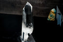 AAA Optical - Grade Lemurian Quartz Point – Water - Clear (12" Tall) - E2D Crystals & Minerals