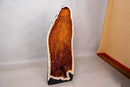 Tall AAA Citrine Cathedral Geode with Golden - Orange Sparkly Druzy – 3.85 ft - E2D Crystals & Minerals