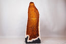 Tall Citrine Cathedral Geode – Golden - Orange Sparkly Druzy, 3.85 ft - E2D Crystals & Minerals