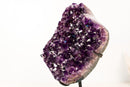 Natural Amethyst Geode Cluster with Rich Purple, Grape - Jelly Druzy - E2D Crystals & Minerals
