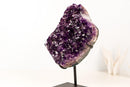 Natural Amethyst Geode Cluster with Rich Purple, Grape - Jelly Druzy - E2D Crystals & Minerals