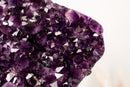 Natural Amethyst Geode Cluster with Rich Purple, Grape - Jelly Druzy - E2D Crystals & Minerals