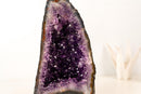 High - Grade Amethyst Cathedral Geode with Saturated Deep Purple Druzy – 13.6 lb - E2D Crystals & Minerals