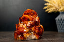 Top - Color Madeira Citrine Geode Cluster with Deep Orange Druzy, Self - Standing Specimen - 2.6 Kg - 5.8 lb - E2D Crystals & Minerals