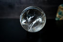 AAA Water - Clear Quartz Crystal Sphere – Super Extra Quality (3.1 lb) - E2D Crystals & Minerals