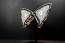 Natural Blue Lace Agate Butterfly Wings Geode on Stand - Exceptional Natural Formation, 18 In. 24 Lb. - E2D Crystals & Minerals