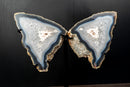 Natural Blue Lace Agate Butterfly Wings Geode on Stand - Exceptional Natural Formation, 18 In. 24 Lb. - E2D Crystals & Minerals
