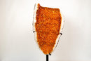 Statement Tall Citrine Cluster with Deep Orange Druzy on Stand – Natural Crystal, 26 In / 35 Lb. - E2D Crystals & Minerals