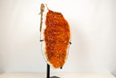 Statement Tall Citrine Cluster with Deep Orange Druzy on Stand – Natural Crystal, 26 In / 35 Lb. - E2D Crystals & Minerals
