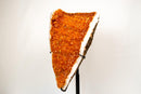 Statement Tall Citrine Cluster with Deep Orange Druzy on Stand – Natural Crystal, 26 In / 35 Lb. - E2D Crystals & Minerals