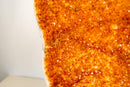 Tall Statement Citrine Cluster on Stand with Deep Orange Druzy – 29 in, 21 lb - E2D Crystals & Minerals
