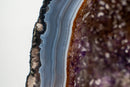 Rare Blue Agate Geode with Deep Purple Amethyst & Cacoxenite Inclusions – 16 lb Brazilian Specimen - E2D Crystals & Minerals