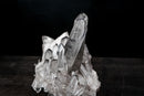 Gallery - Grade Lemurian Seed Quartz Cluster with Dreamcoat Lithium Phantom – Natural Crystal from Brazil, Large: 15.4 in / 27.7 lb - E2D Crystals & Minerals