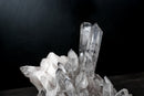 Gallery - Grade Lemurian Seed Quartz Cluster with Dreamcoat Lithium Phantom – Natural Crystal from Brazil, Large: 15.4 in / 27.7 lb - E2D Crystals & Minerals