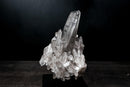 Gallery - Grade Lemurian Seed Quartz Cluster with Dreamcoat Lithium Phantom – Natural Crystal from Brazil, Large: 15.4 in / 27.7 lb - E2D Crystals & Minerals