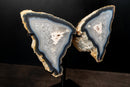 Natural Blue Lace Agate Butterfly Wings Geode on Stand - Exceptional Natural Formation, 18 In. 24 Lb. - E2D Crystals & Minerals