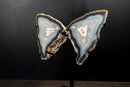 Natural Blue Lace Agate Butterfly Wings Geode on Stand - Exceptional Natural Formation, 18 In. 24 Lb. - E2D Crystals & Minerals