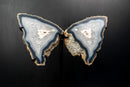 Natural Blue Lace Agate Butterfly Wings Geode on Stand - Exceptional Natural Formation, 18 In. 24 Lb. - E2D Crystals & Minerals