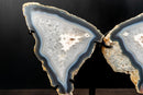 Natural Blue Lace Agate Butterfly Wings Geode on Stand - Exceptional Natural Formation, 18 In. 24 Lb. - E2D Crystals & Minerals
