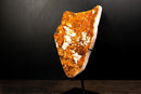 Tall Citrine Cluster with Sparkling Druzy and Natural Calcite Inclusions – Statement Crystal, 19.5 In, 12 Lb. - E2D Crystals & Minerals
