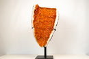 Statement Tall Citrine Cluster with Deep Orange Druzy on Stand – Natural Crystal, 26 In / 35 Lb. - E2D Crystals & Minerals