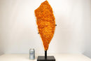 Tall Statement Citrine Cluster on Stand with Deep Orange Druzy – 29 in, 21 lb - E2D Crystals & Minerals
