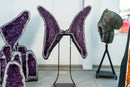 Amethyst Geode Butterfly Wings with Sparkly Purple Druzy - E2D Crystals & Minerals