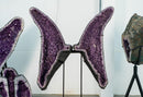 Amethyst Geode Butterfly Wings with Sparkly Purple Druzy - E2D Crystals & Minerals