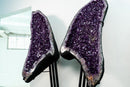 Giant 7.3 ft Purple Amethyst Geode Wings with Large Crystal Points - E2D Crystals & Minerals