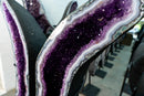 X - Large Blue Banded Agate and Purple Amethyst Butterfly Geode - E2D Crystals & Minerals