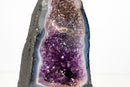 Rare Bi - Color Amethyst Geode with Blue Banded Agate – Dual Deep Purple & Lavender Druzy | 16lb - E2D Crystals & Minerals