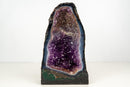Rare Bi - Color Amethyst Geode with Blue Banded Agate – Dual Deep Purple & Lavender Druzy | 16lb - E2D Crystals & Minerals