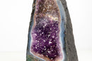 Rare Bi - Color Amethyst Geode with Blue Banded Agate – Dual Deep Purple & Lavender Druzy | 16lb - E2D Crystals & Minerals