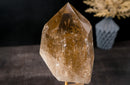 Genuine Natural Citrine Point – Light Honey Citrine with Rainbows, 12.5 in Tall, 9 lb - E2D Crystals & Minerals