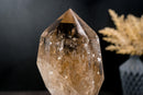 Genuine Natural Citrine Point – Light Honey Citrine with Rainbows, 12.5 in Tall, 9 lb - E2D Crystals & Minerals