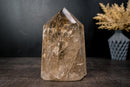 Genuine Natural Citrine Obelisk Point – Light Honey Citrine with Multiple Rainbows, Large Size 9.5 in Tall, 10 lb. - E2D Crystals & Minerals