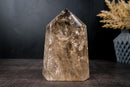 Genuine Natural Citrine Obelisk Point – Light Honey Citrine with Multiple Rainbows, Large Size 9.5 in Tall, 10 lb. - E2D Crystals & Minerals