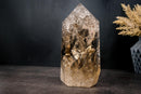 Genuine Honey Citrine Obelisk Point – Exceptional Water - Clear Interior & Natural Rainbows | Large 11 in / 14.5 lb - E2D Crystals & Minerals